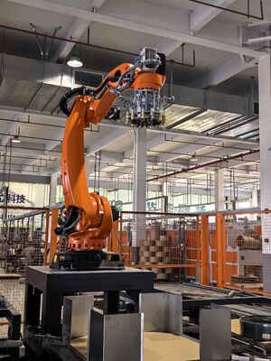 Double Line Automatic Palletizing System 220V Face To Face Industrial Palletizer