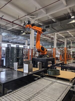 LDPE HDPE Automatic Palletizing System PE  Palletizing Robot With Partition